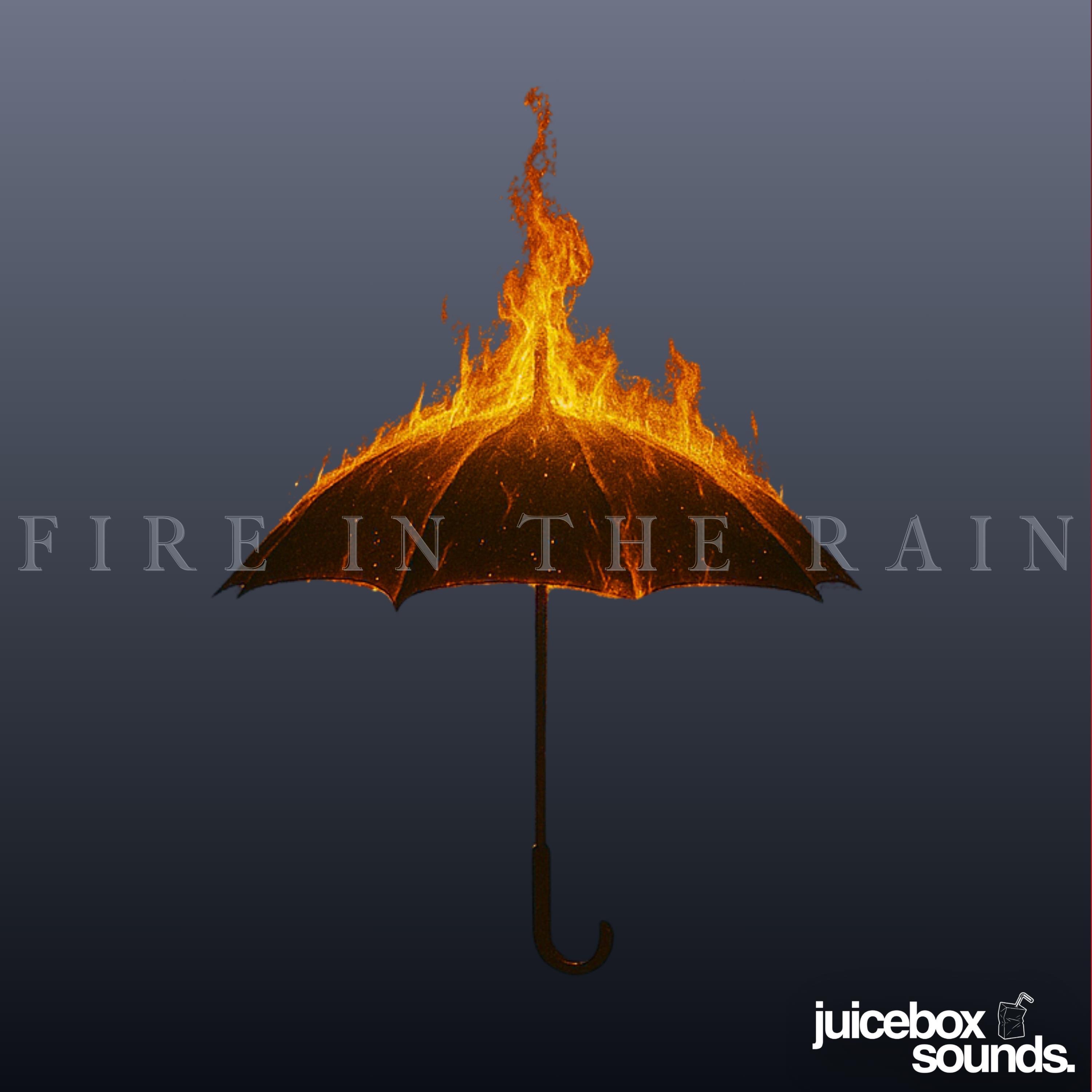 Fire in the Rain - Single