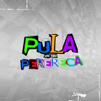 Pula em Mim Perereca - Single - DJ 2S & MCs BW