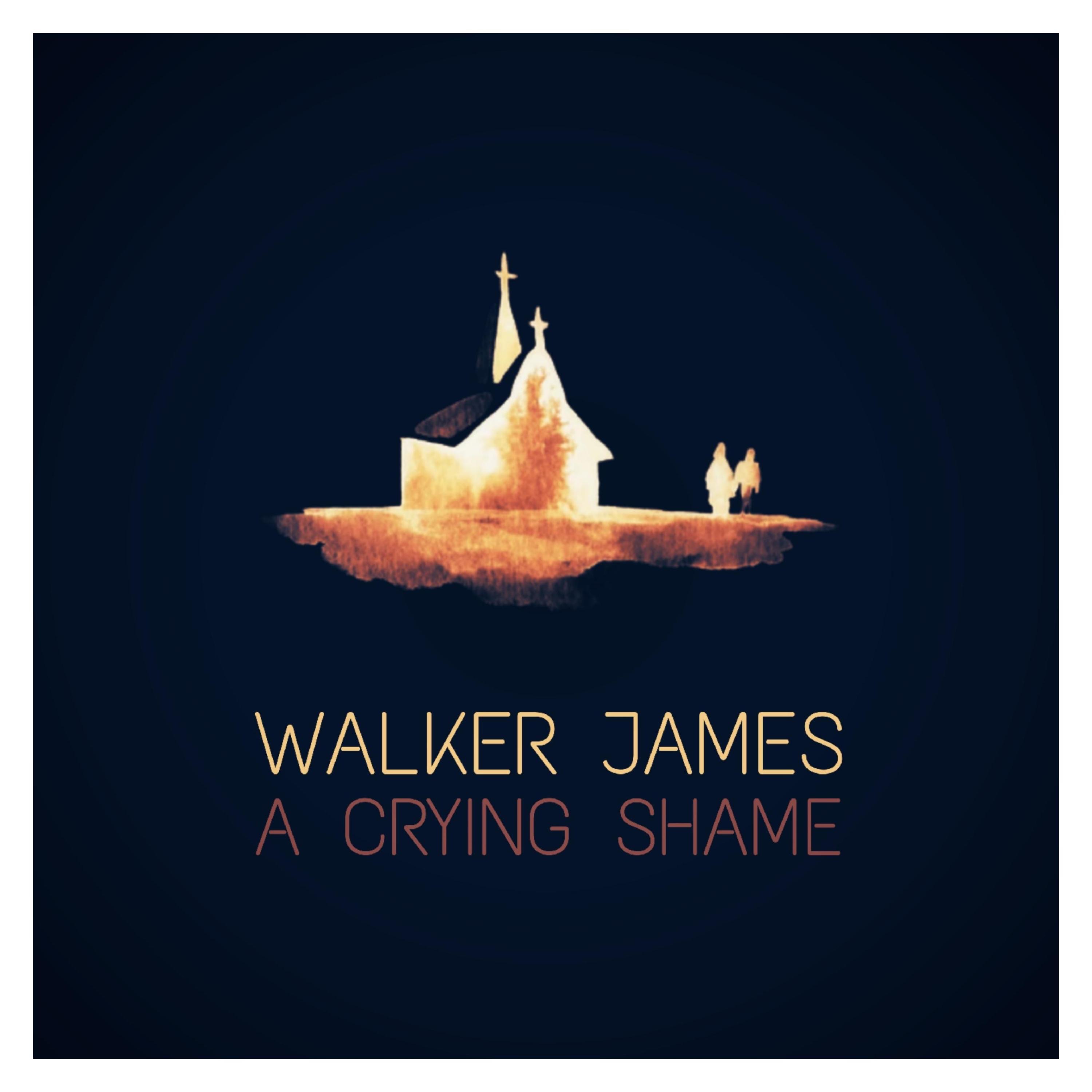 A Crying Shame - Single