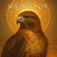 Sovereingty - Single - Kosmic T