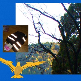 אבקת חשמל (feat. Free Talsha) ניר כץ