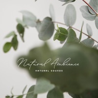 Natural Ambience - Natural Sounds