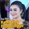 Kembang Probolinggo