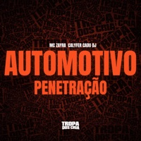 AUTOMOTIVO PENETRAÇÃO - Single - Cadu DJ, MC Zayra & CalyFer