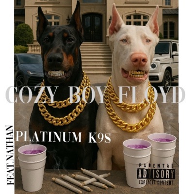 Platinum K9s (feat. Nathan) - Single