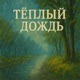 Тёплый дождь feat Archer Single
