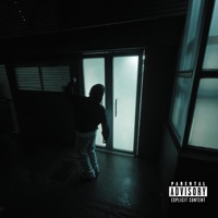 Stephen Curry - Single - Martelo