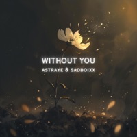 Without You - Single - Astraye & Sadboixx