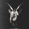 Mourn - Mokachinio lyrics