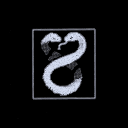 LIFE - Witchz Cover Art