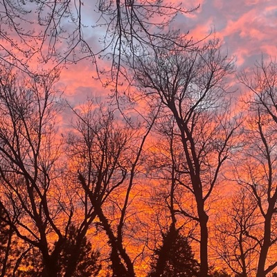 Briy's Interlude - Single