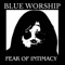 Tears For Fears - Blue Worship lyrics