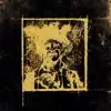 The Sad Hour - Dead Nor Alive
