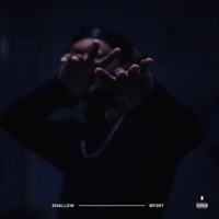 Shallow - Single - BR3NT
