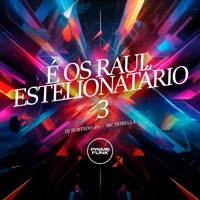 É os Raul Estelionatário 3 - Single - DJ Surtado 011, Mc Dobella & Prime Funk