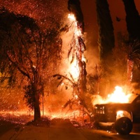 Paradox - Single - ExperiMENTAL