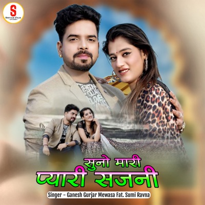 Suno Mari Pyari Sajani (feat. Sumi Ravna) - Single