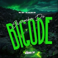 Arrocha de Bigode - Single - DJ Allan 011 & MC GW