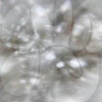 I-95 - Single - SURF GANG & POLO PERKS <3 <3 <3