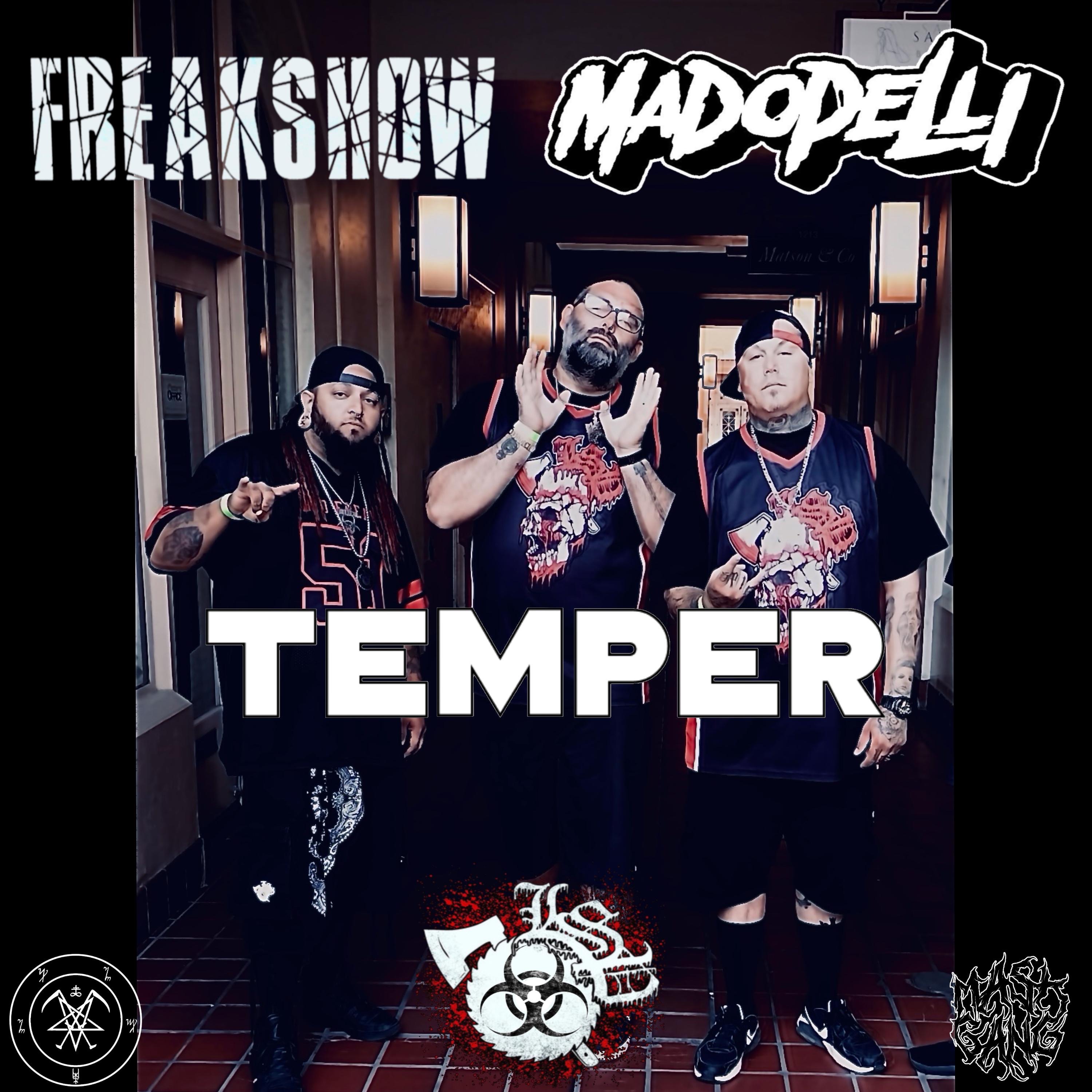 Temper (feat. Madopelli) - Single