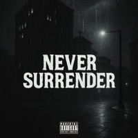 NEVER SURRENDER (RMX) - Single - COSMOS5D