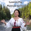 Muresule apa lina - Single