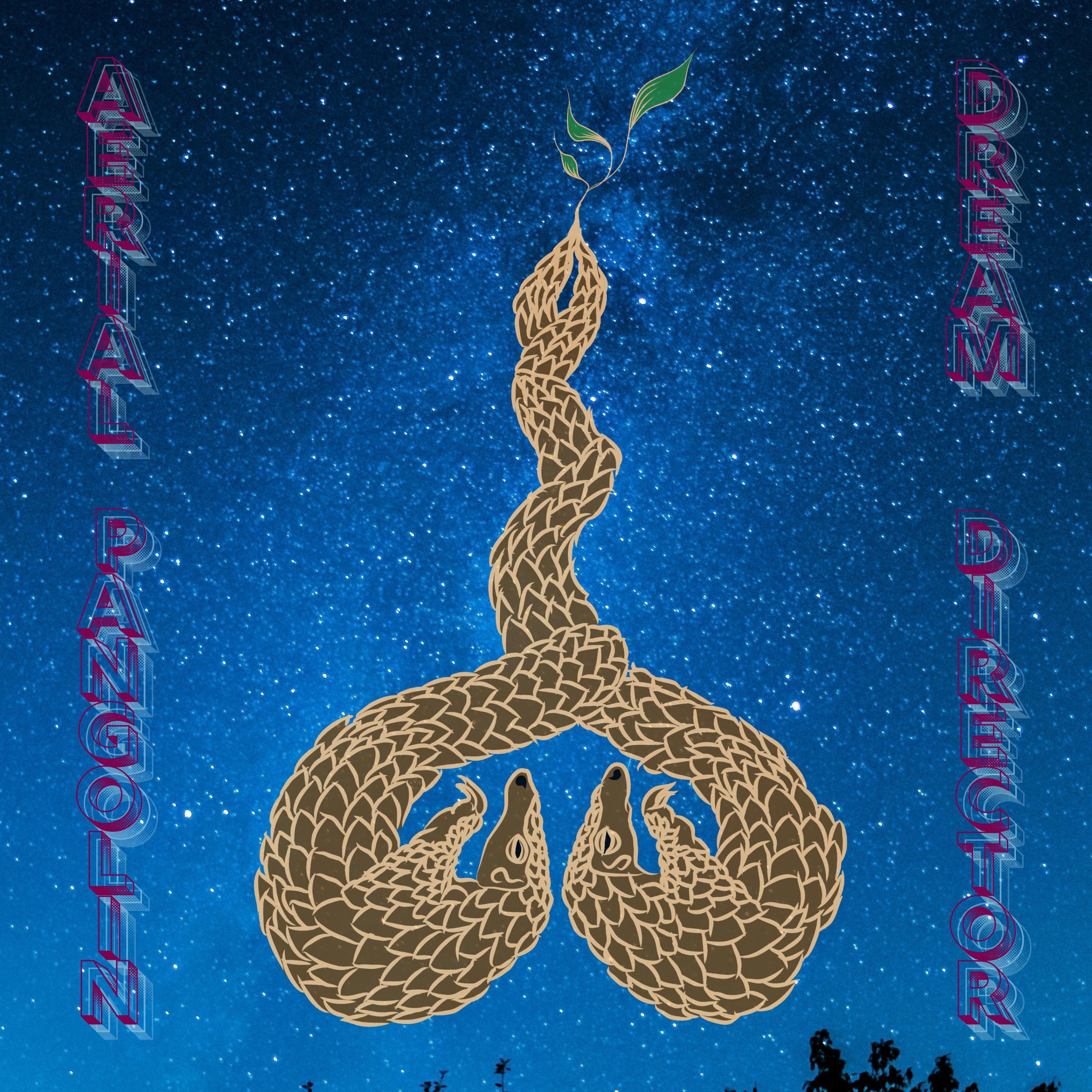 Aerial Pangolin Dream Director - Single