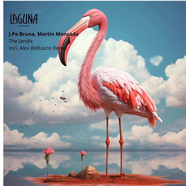 The Jandis - Single