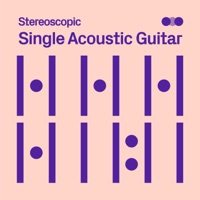 Single Acoustic Guitar - Vincent Perrot