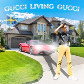 Mfkn Party (feat. TO$HIRO) Gucci Ice