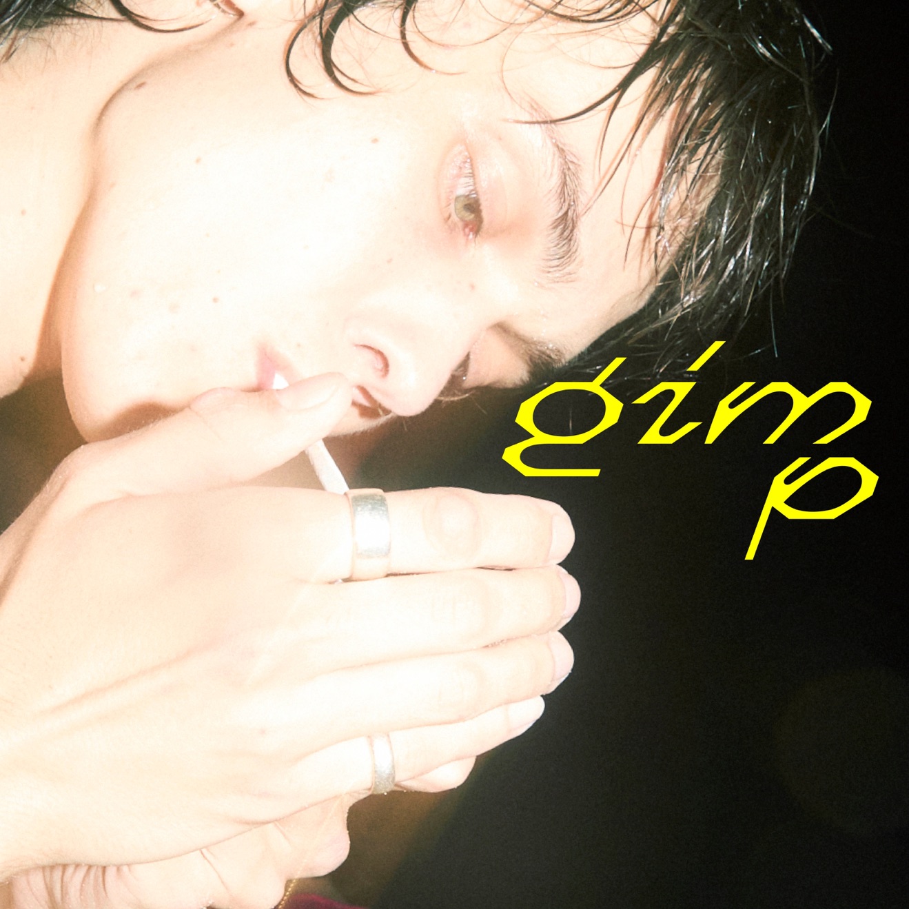 Sonic Reducer – GIMP – Single (2025) [iTunes Match M4A]