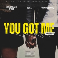 you got me (feat. wavydavy) - Single - Pint