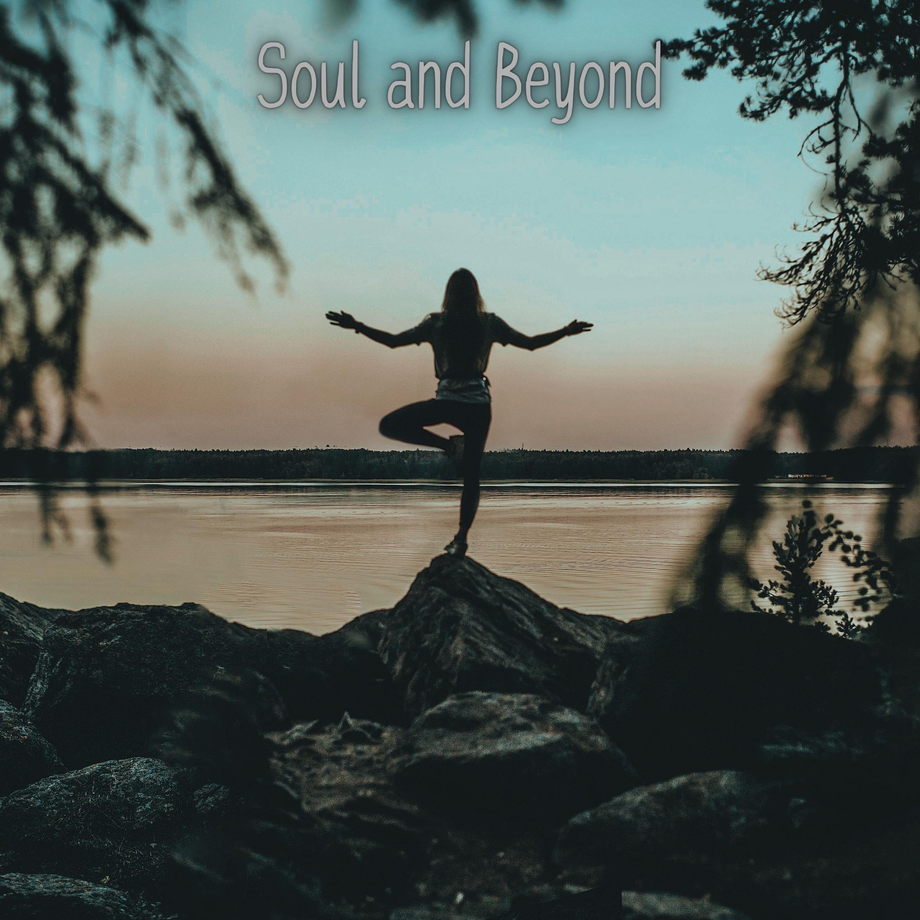 Soul and Beyond