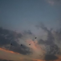 elsewhere - Single - everburning, Hizashi & maeLstro