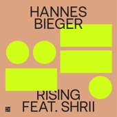Rising (feat. Shrii) artwork