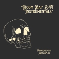 Boom Bap Lo Fi Instrumental - Single - Sebasplay