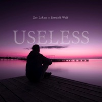 USELESS (feat. Sawdoff Wolf) - Single
