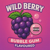 WILD BERRY, BUBBLE GUM FLAVOURED (feat. RAINY MF DAY) - Single - brainwaveproductions & BLEAKHULL