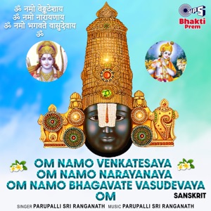 Om Namo Venkatesaya Om Namo Narayanaya Om Namo Bhagavate Vasudevaya Om