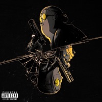 STUPID MUHFUCKA - Single - Aerial Ace