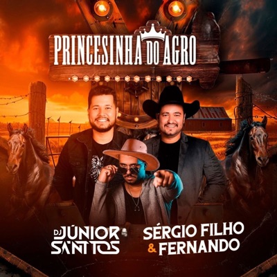 Princesinha do Agro (feat. Sergio Filho e Fernando) - Single