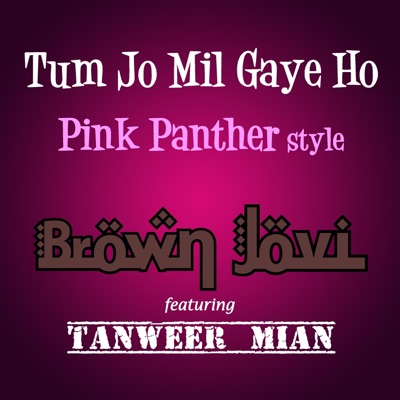 Tum Jo Mil Gaye Ho (Pink Panther style) - Single