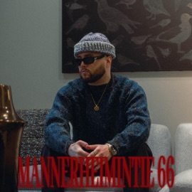 Mannerheimintie 66 2nen