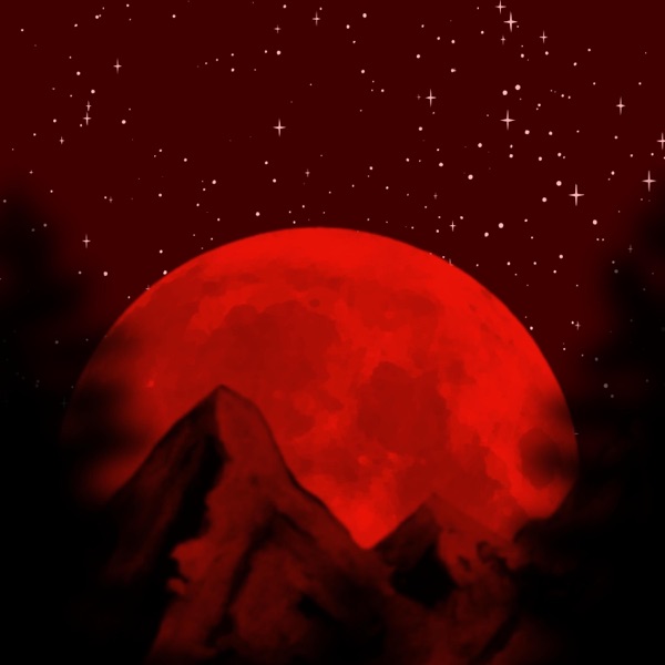 NIGHT RISE (Slowed)