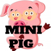 Mini Pig - kingpuntocom beats