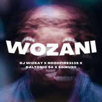 Wozani (feat. Csiie) - Single - Ndohfire3135, Sgmusii, Dj Wizkay & Caltonic SA
