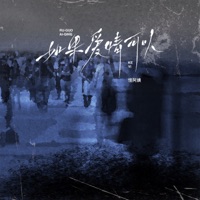 如果爱情可以 (DJ EVA版) - Single - 怪阿姨