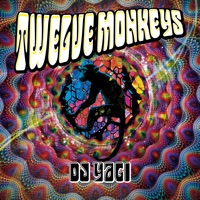Twelve Monkeys - Single - DJ YAGI