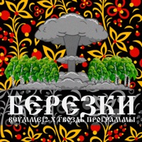 Берёзки (feat. ГВОЗДЬ ПРОГРАММЫ) - Single - ВСУММЕ12