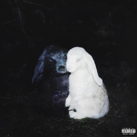 AVERAGE (feat. Amo!) Nate X